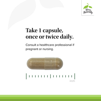 Ashwagandha EP35 Extra Strength - 60 Capsules