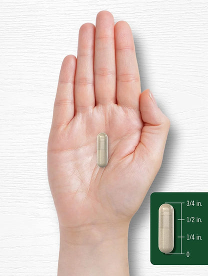 Rosemary Extract | 1200Mg | 200 Capsules | by