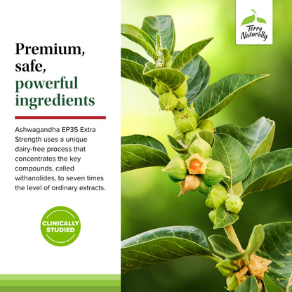 Ashwagandha EP35 Extra Strength - 60 Capsules