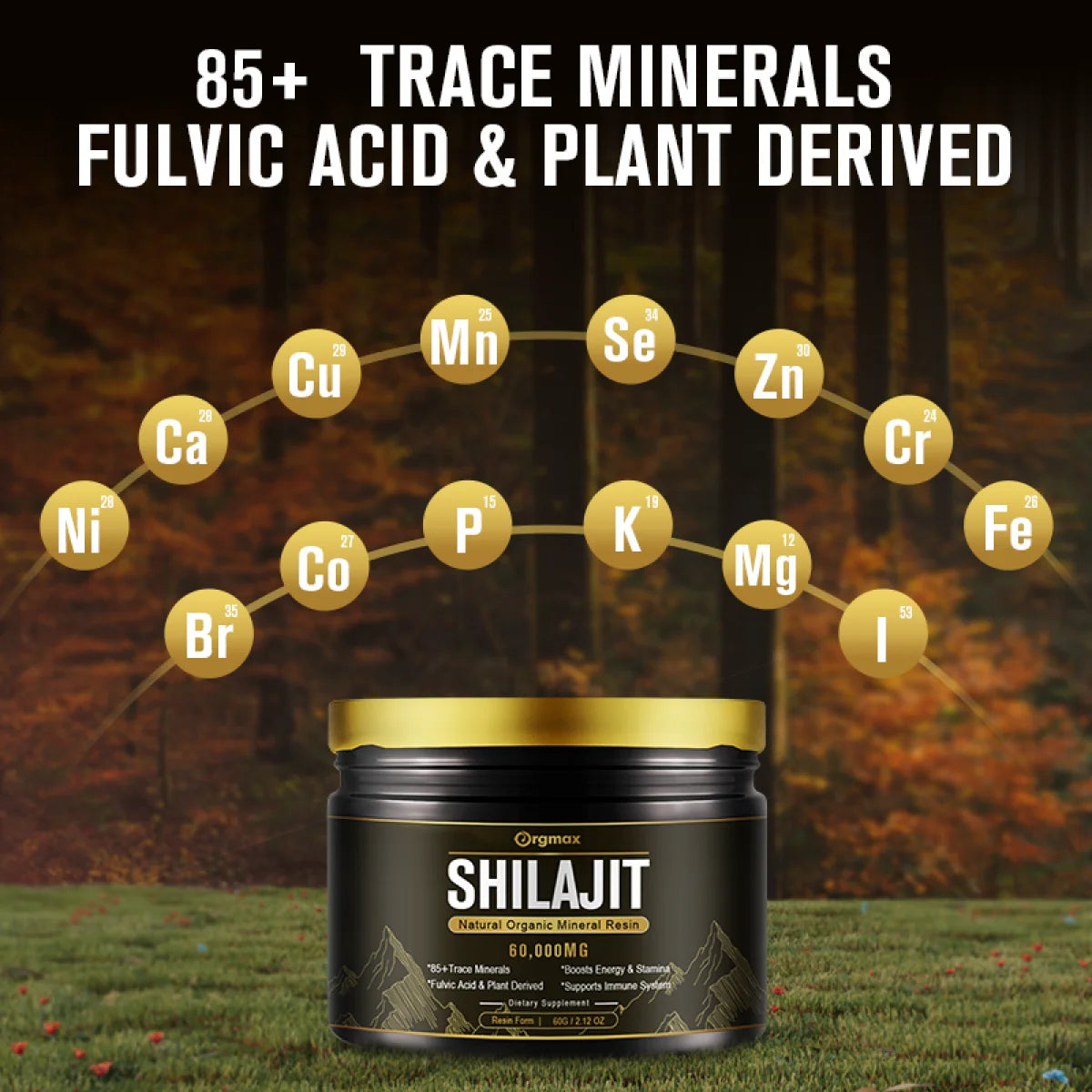 60,000MG Original Siberian Pure Shilajit, Support Metabolism & Immune System - 100 Serving / 60G
