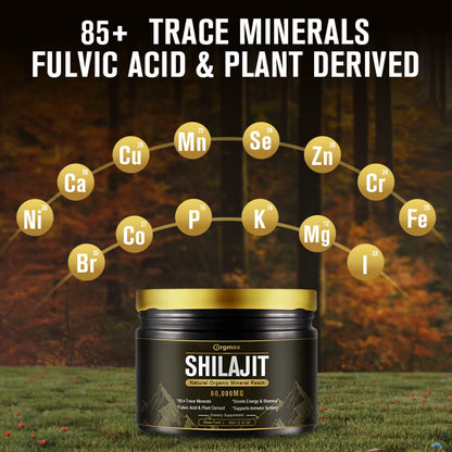 60,000MG Original Siberian Pure Shilajit, Support Metabolism & Immune System - 100 Serving / 60G