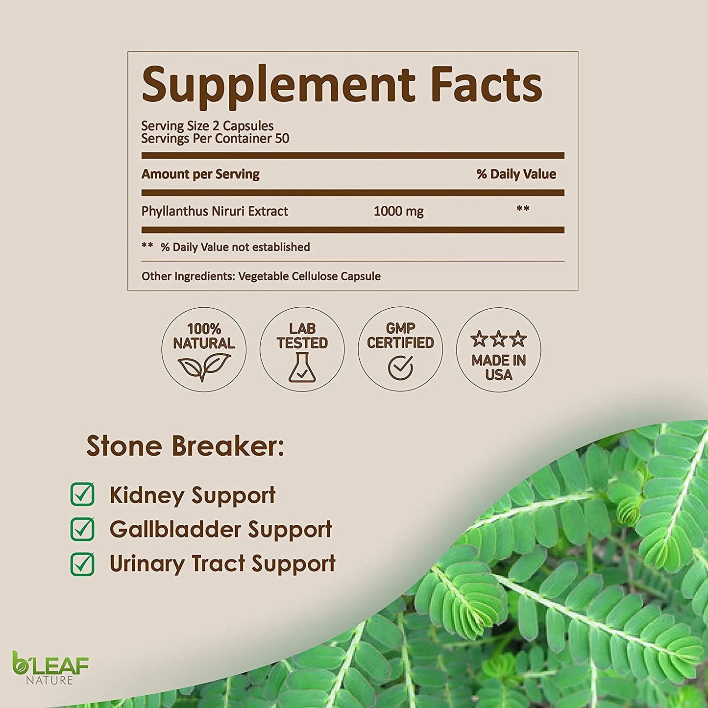 Stone Breaker Chanca Piedra Extract 1000Mg - Urinary Tract and Kidney Support - 100 Vegetarian Capsules